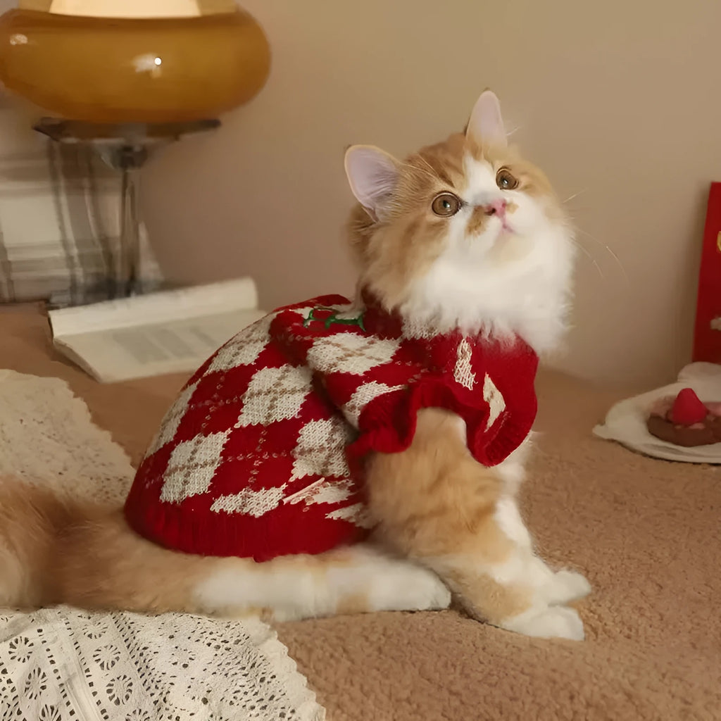 Red cat sweater with rhombic embroidery cherry design for autumn and winter wear