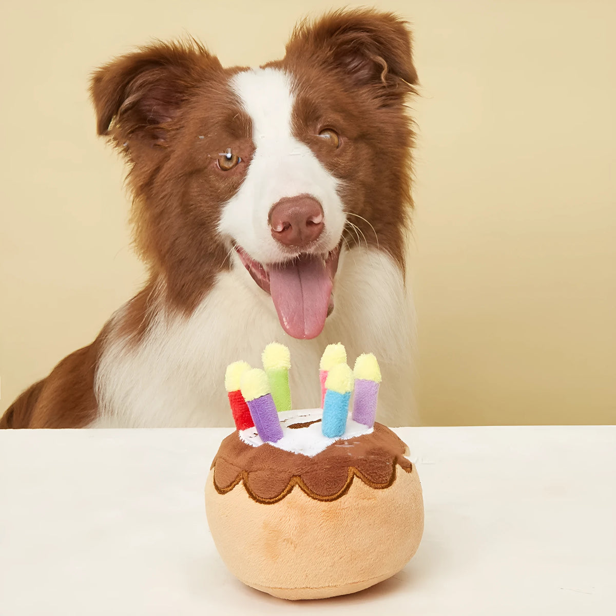 Brown pet plush toy shaped like a birthday cake with a candle, 40g, for dogs to chew and play