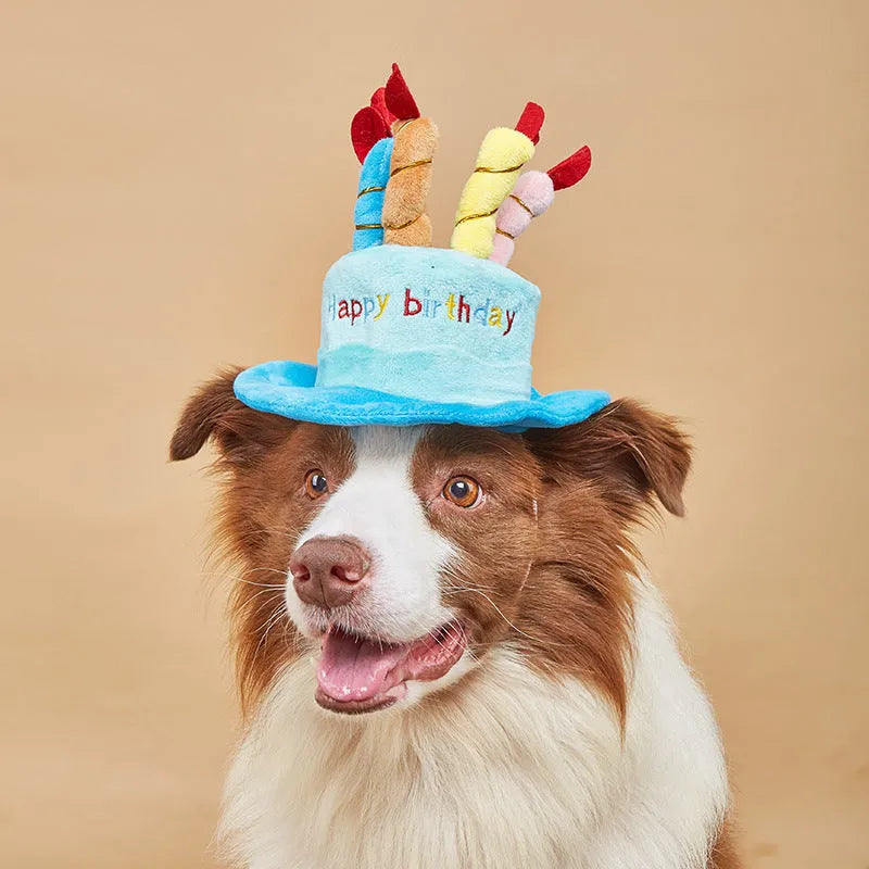 Blue or pink soft fabric birthday hat for toy dogs measuring 21cm wide