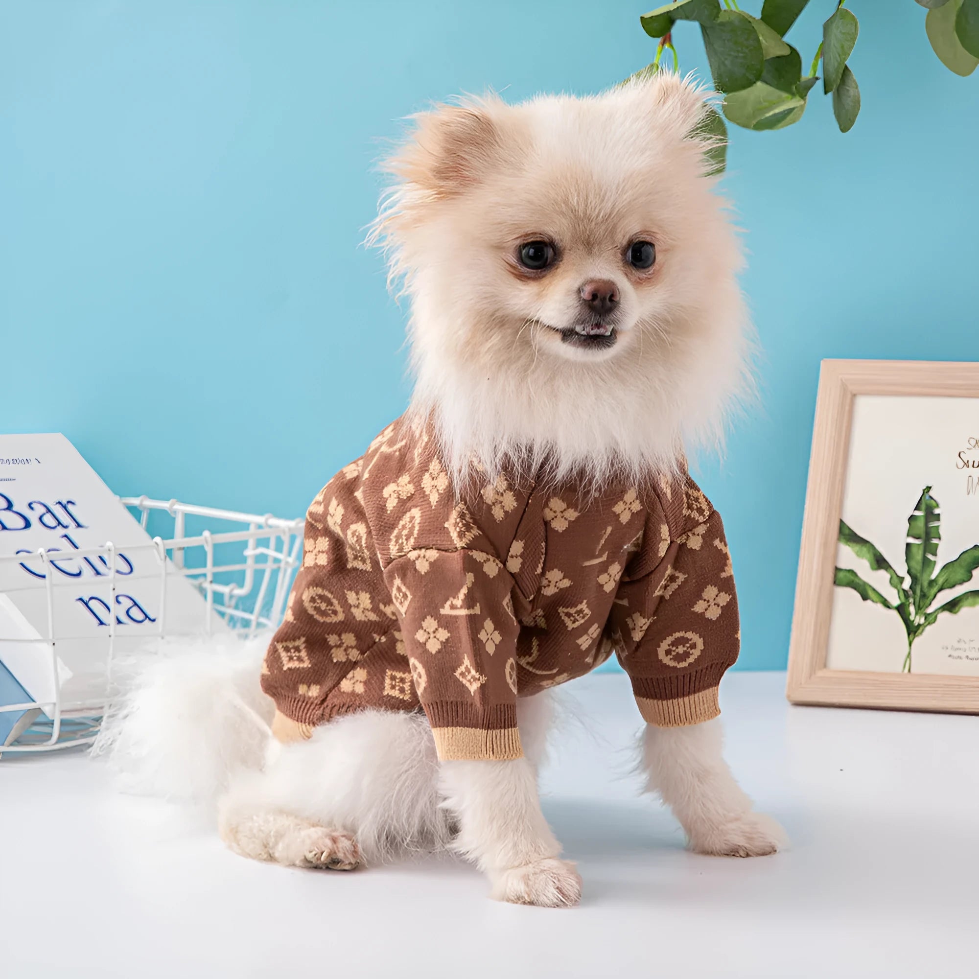 Thick wool dog sweater in a choice of monochrome or two-tone colours.