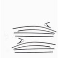 Stainless steel window trim strip with black titanium finish for window edge protection
