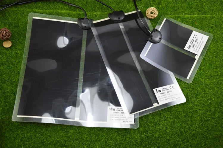 Shi Wang Ant House Kunming-worm heating pad in black with 220V US plug for ant colony winter warmth