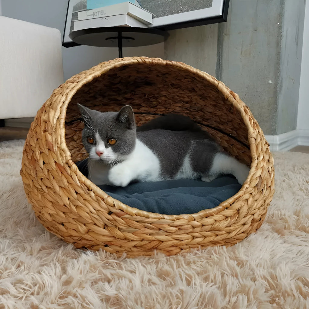 Hand-woven gourd grass cat nest in apricot colour with plastic frame, top view