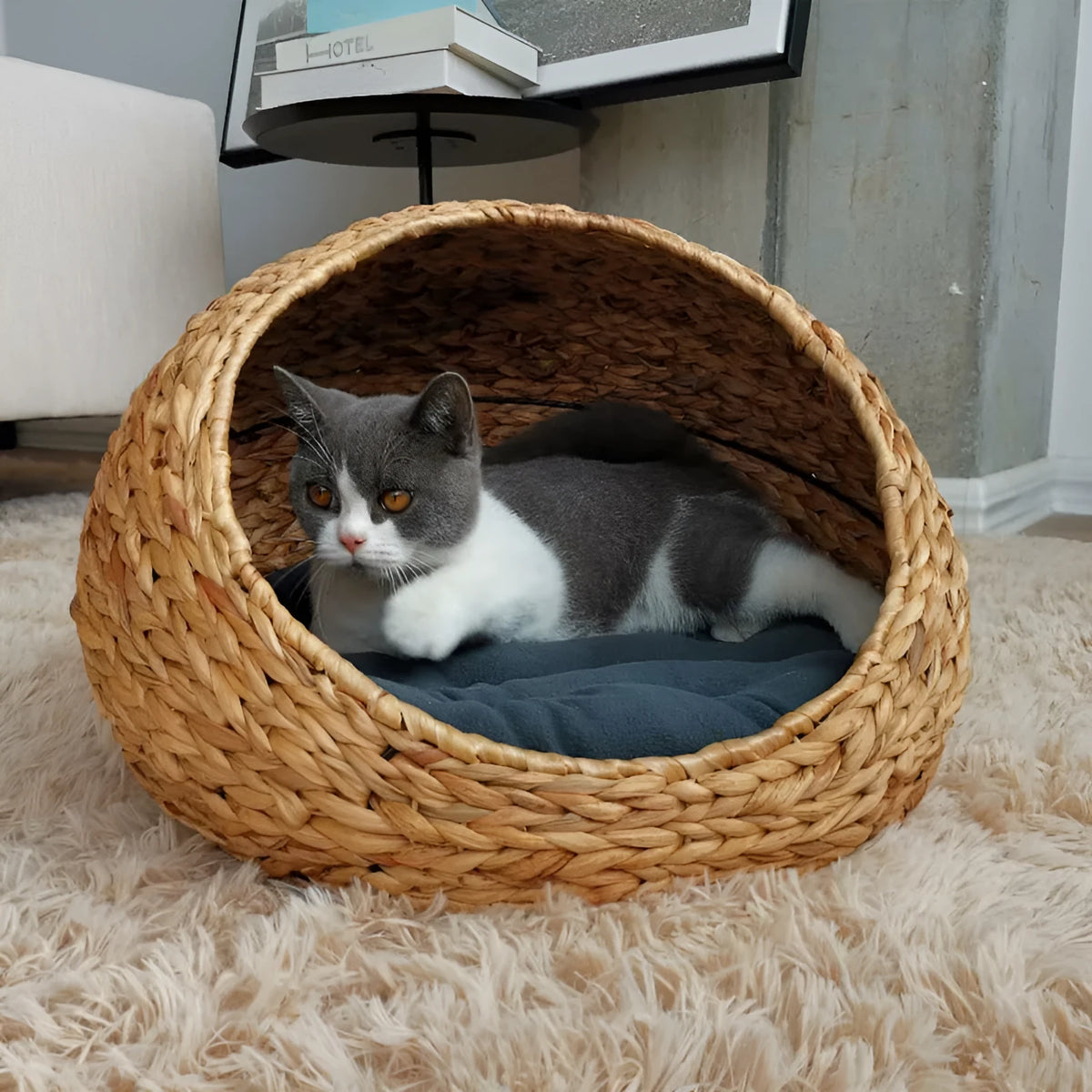 Hand-woven gourd grass cat nest in apricot colour with plastic frame, top view