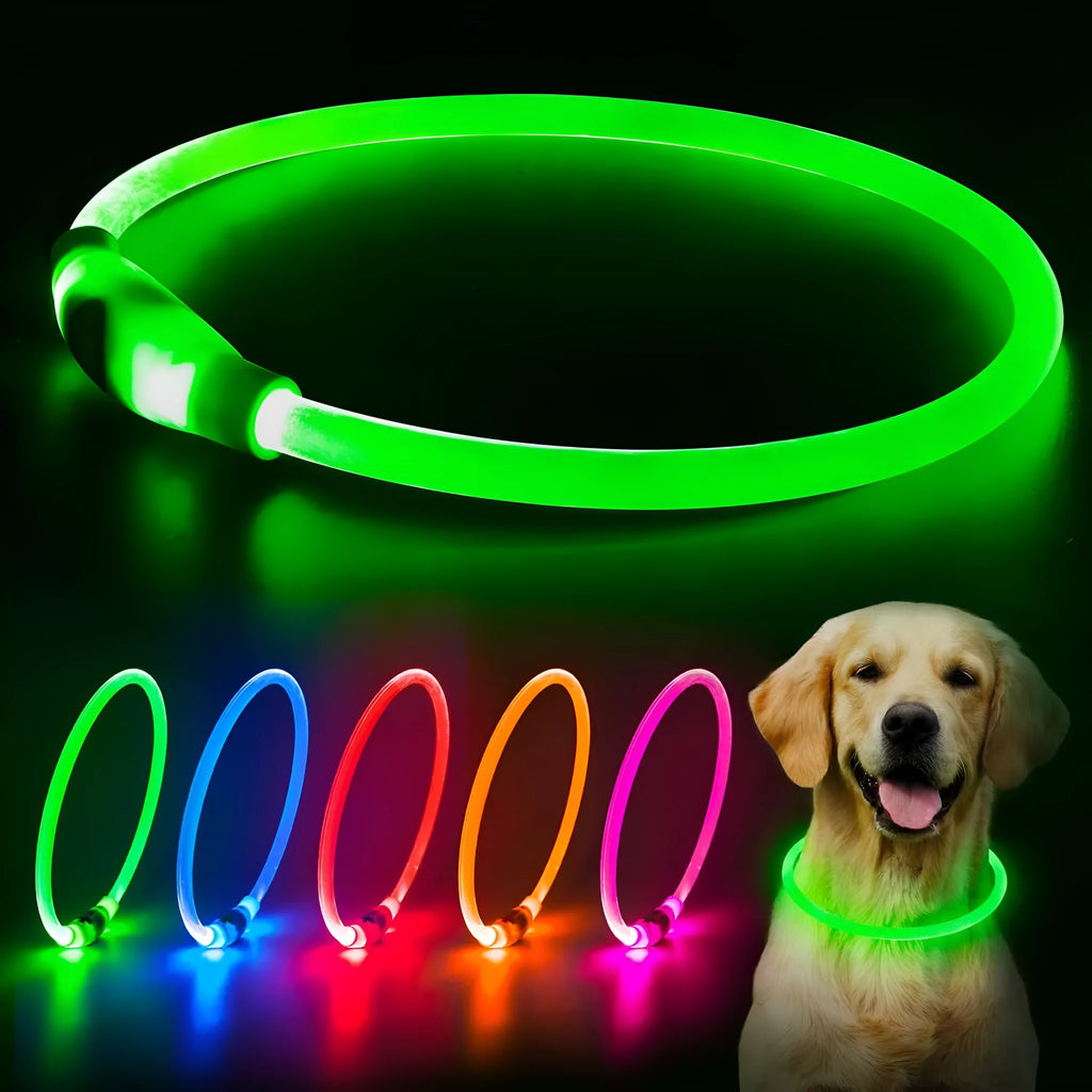 USB rechargeable LED light-up dog collar in blue, showing the light unit and adjustable TPU strap.