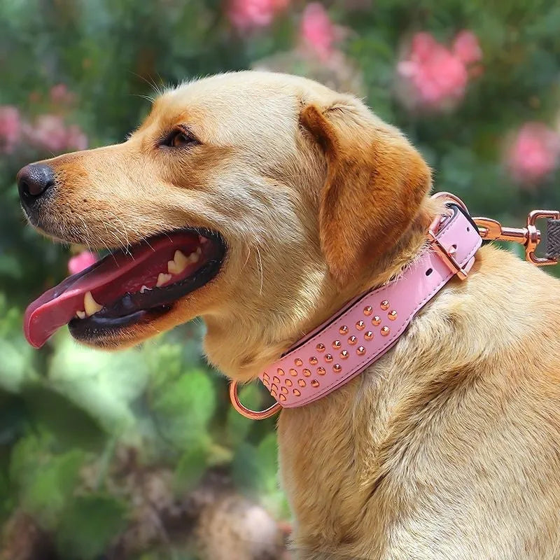 Leather dog collar with metal rivets in black, chocolate, or pink.