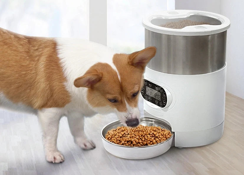 Smart APP Pet Feeder with stainless steel bowl for cats and dogs