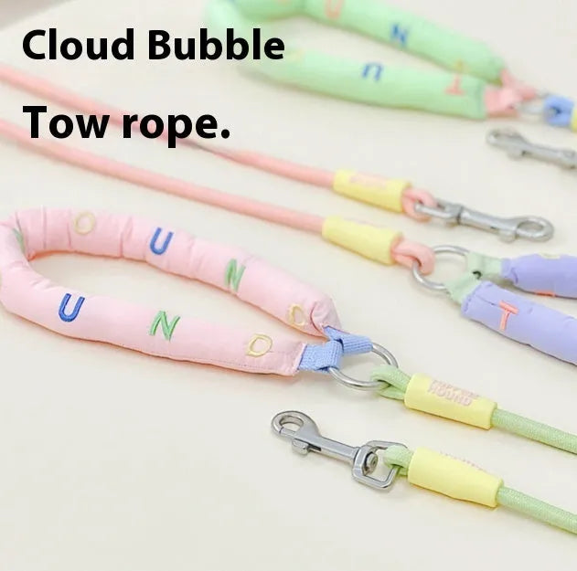 Polyester dog leash in pink, green, purple, and raspberry powder colours, showing 150cm length.