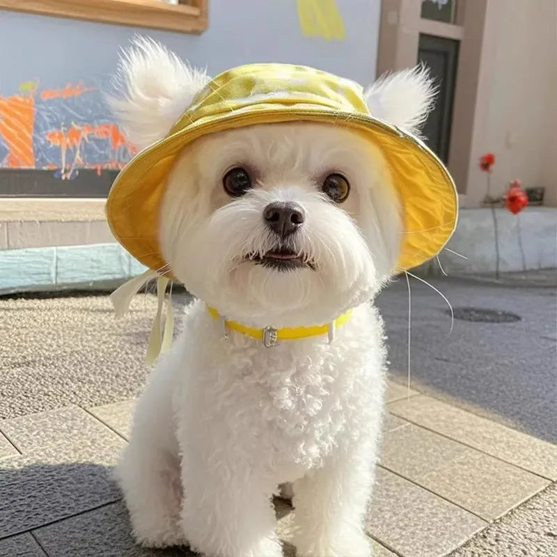 Cotton pet bucket hat with exposed ears in summer lemon yellow with colour grid pattern