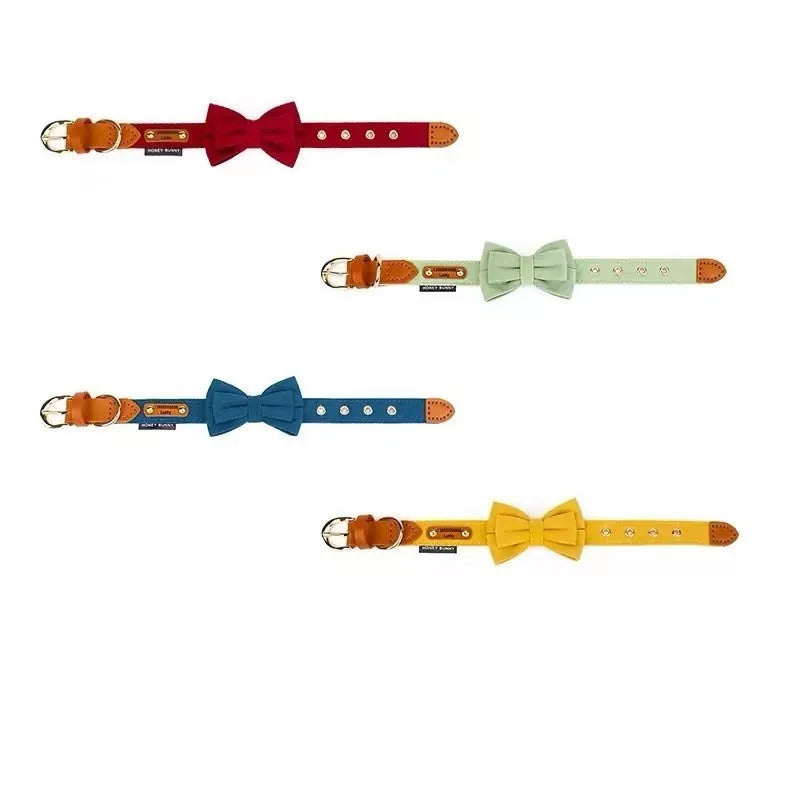 Dog lettering leather bowknot collar and hand holding rope set in creamy green on white background