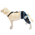 Neoprene dog hind leg knee brace assist strap in collar black colour showing adjustable design for pet leg support