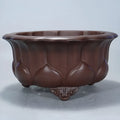 Square purple sand ceramic bonsai planter in antique Chinese petal basin style.