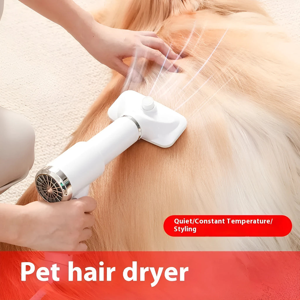 Pet hair dryer and blue whirlpool comb for dog grooming on a white background.
