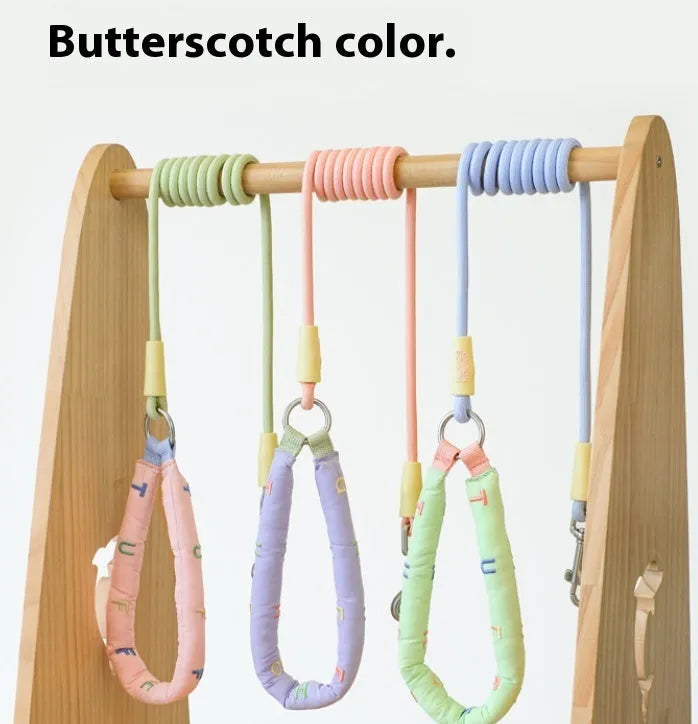 Polyester dog leash in pink, green, purple, and raspberry powder colours, showing 150cm length.