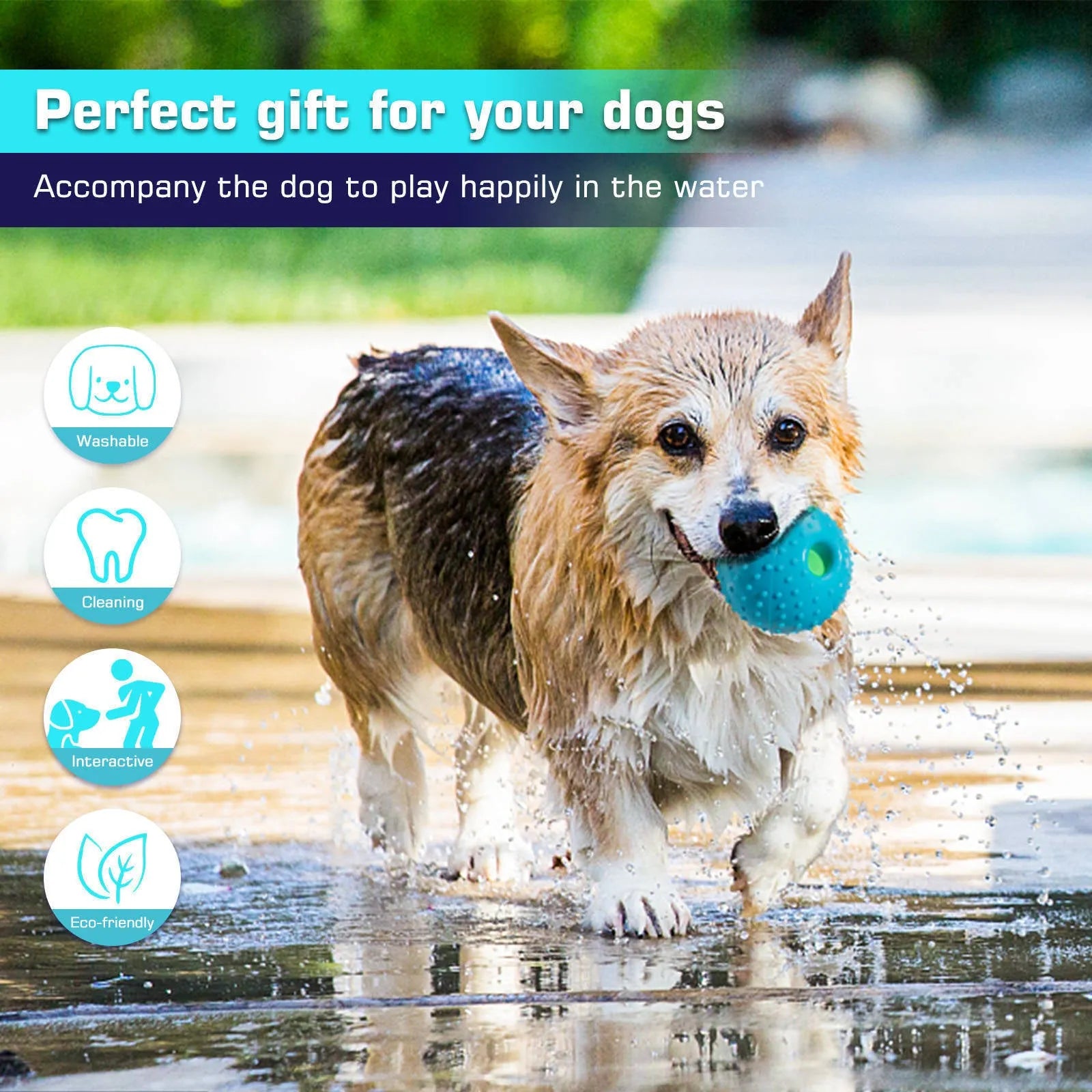 Blue Pet Squall Ball dog toy made from TPR material with 12.5cm diameter placed on grass