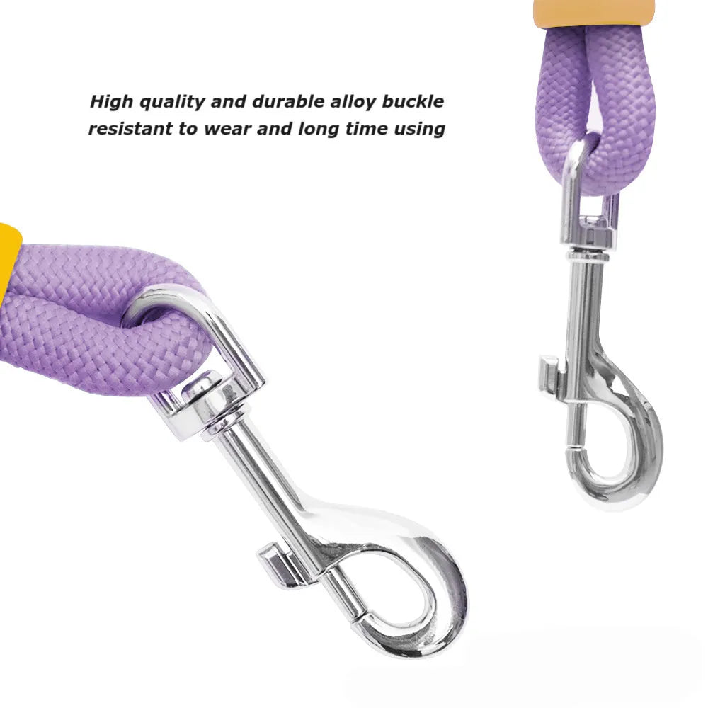 Nylon dog leash with foam handle in four colour options: black, light purple, sky blue, yellow.