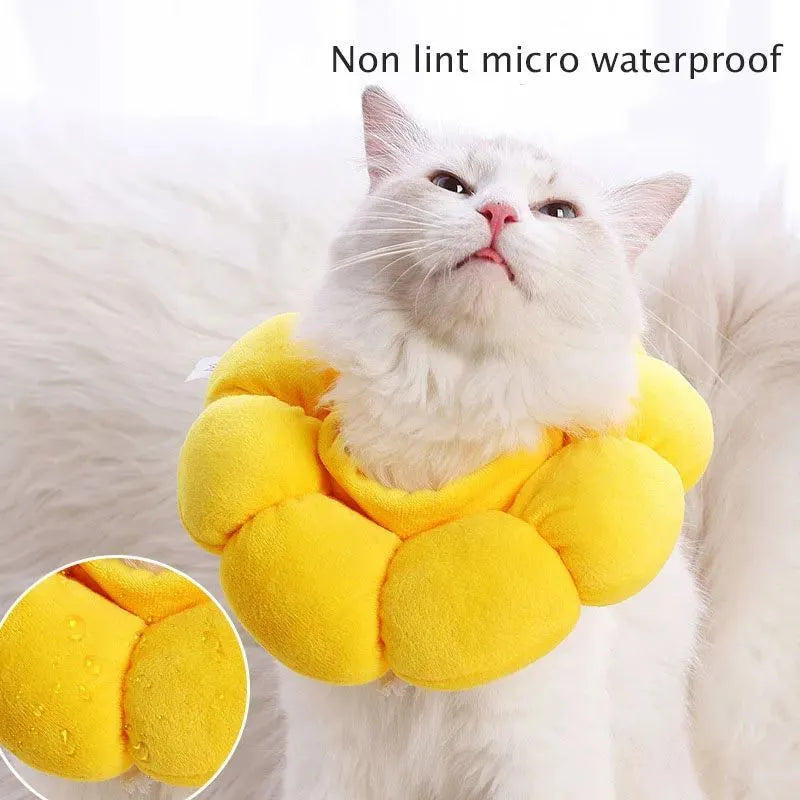 Soft cotton anti-lick recovery collar for a small dog or cat after surgery.