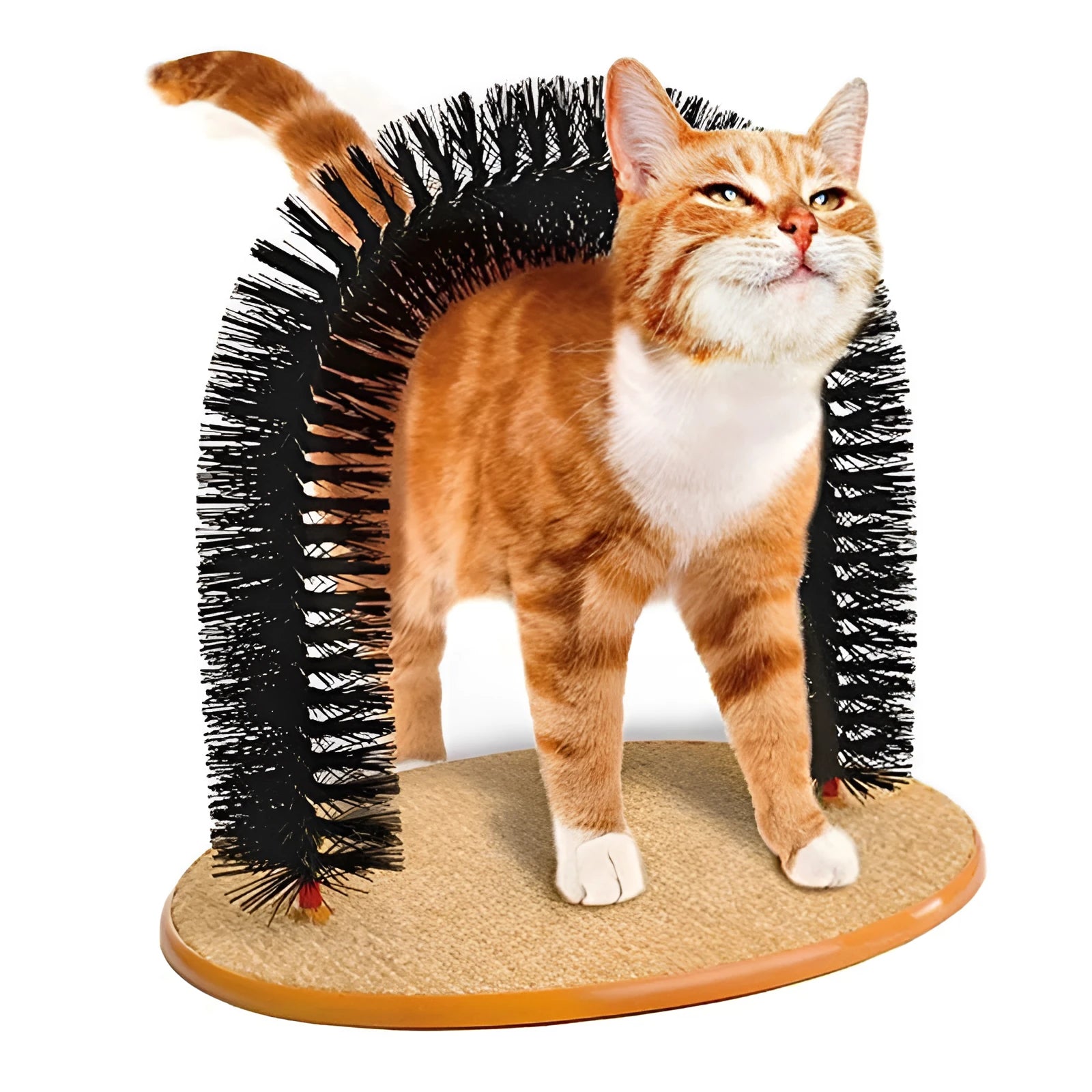 White plastic cat grooming arch scratcher toy with built-in brush bristles on a wooden floor.