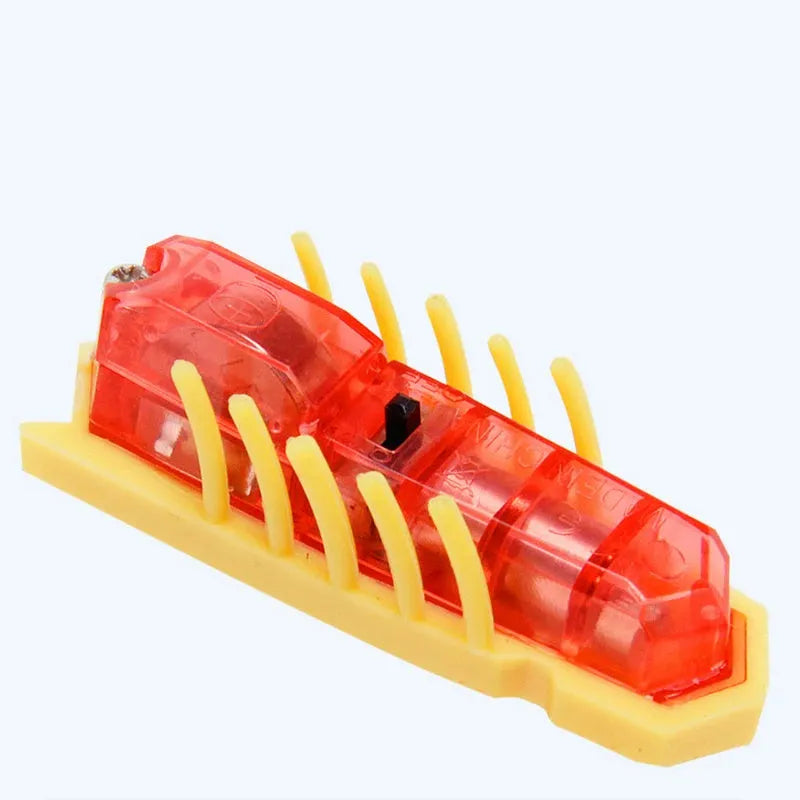 Mini electric ladybird bug cat toy crawling on floor with PVC construction and automatic movement