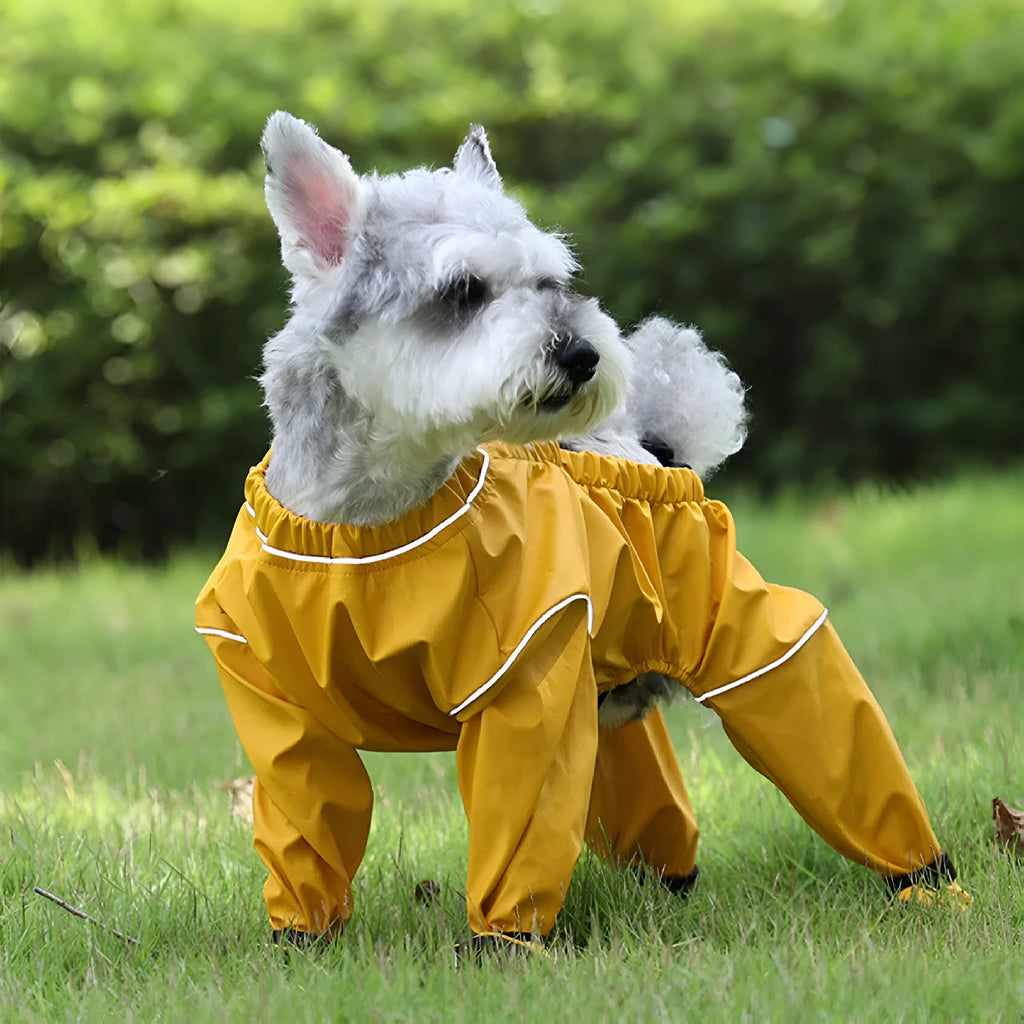 Dog wearing a waterproof PU jumpsuit in dark blue with soft bottom and non-slip design