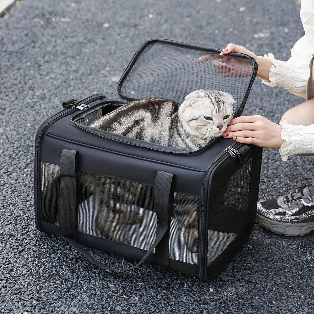 Oxford fabric portable pet carrier bag for small dogs and cats measuring 44x29x5cm