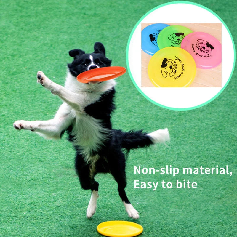 Eco-friendly dog agility training disc in assorted colours