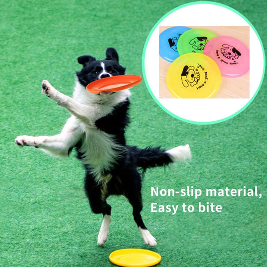 Eco-friendly dog agility training disc in assorted colours