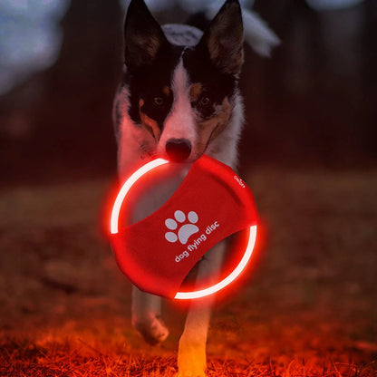 LED glowing dog flying disc in various colours, perfect for night-time play