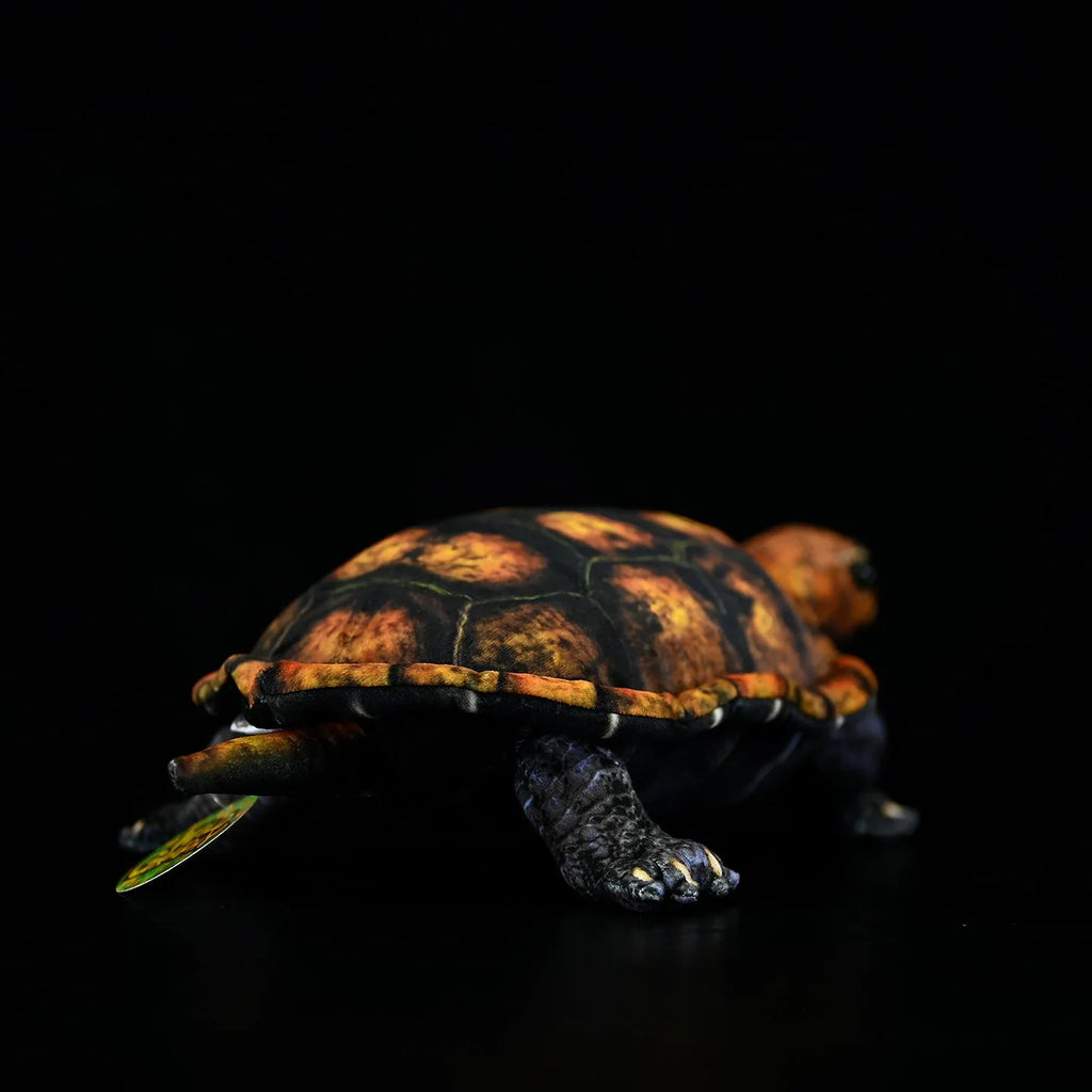 Coffee-coloured Japanese stone turtle plush toy 32cm from mouth to tail on neutral background