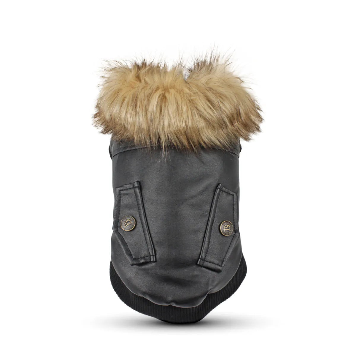 British style black leather dog coat with a white faux fur collar on a dog.
