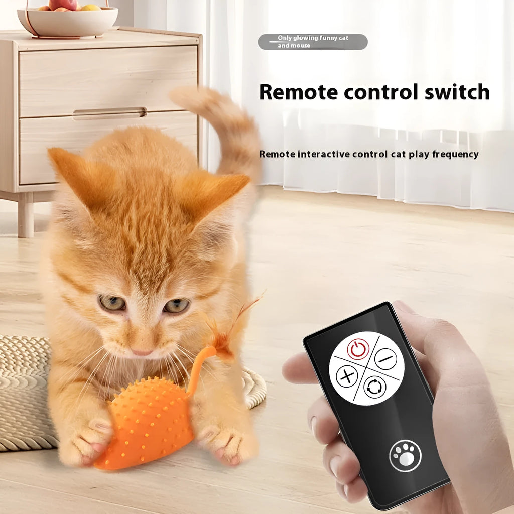 Remote control and USB-rechargeable silicone mouse cat toy in cyan colour with attached feathers.