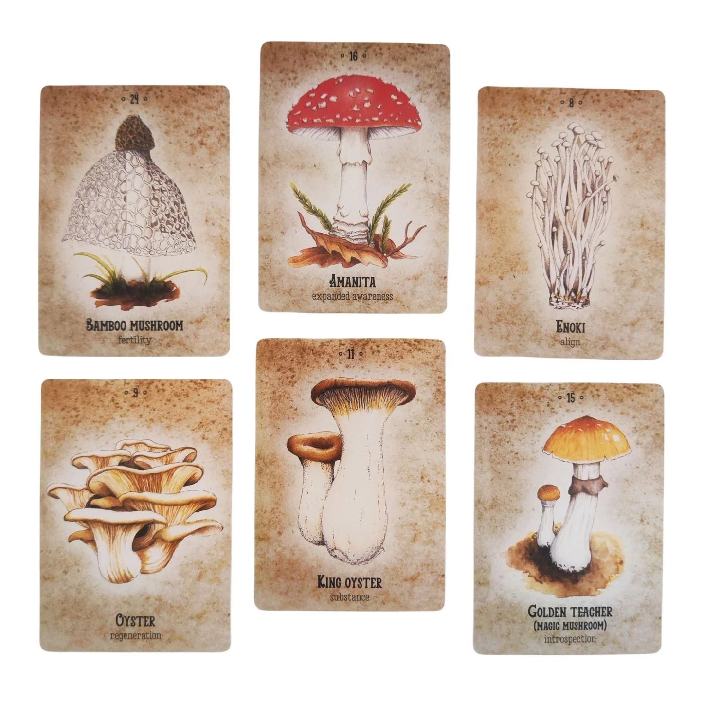 Mushroom Spirit Oracle Card Game for intellectual development and hand-eye coordination