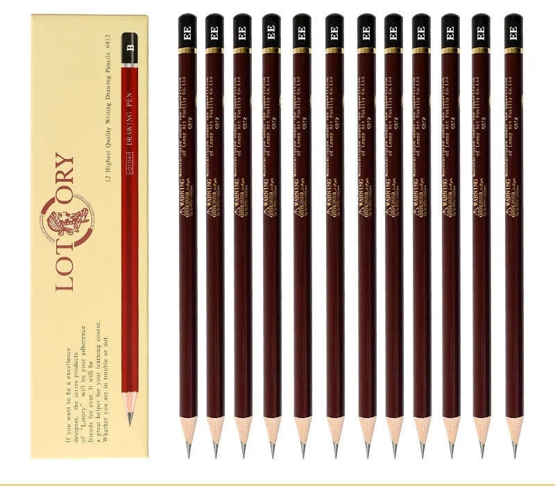 Professional children's soft charcoal drawing set with multiple pencil grades and charcoal sticks