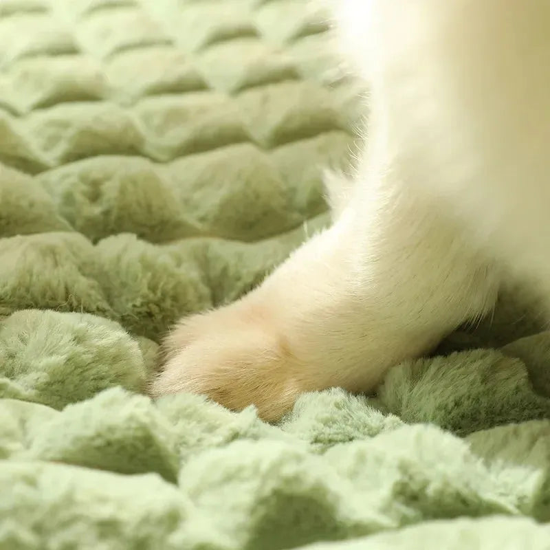 A large grey washable dog mat with a detachable cover, shown with a dog lying on it.