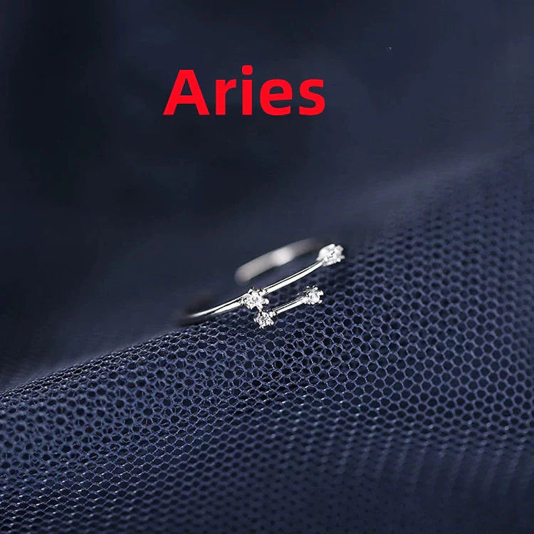 Silver Zodiac Sign Ring with detailed astrology symbols, electroplated for durability