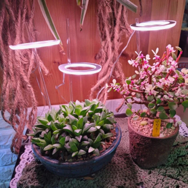 LED grow light with Angel Ring design showing full-spectrum LEDs in zinc alloy housing