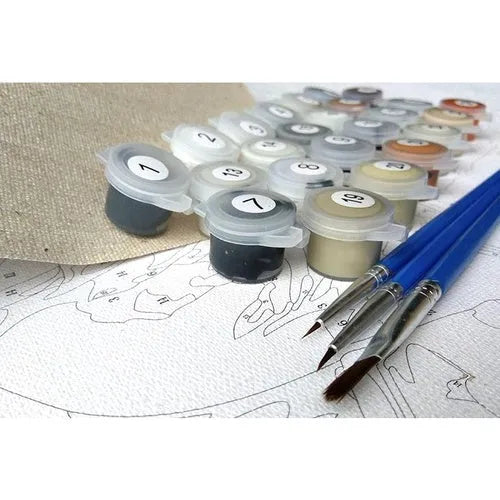 Scared Or Surprised cat design DIY paint by numbers kit with acrylic paints, brushes, and canvas