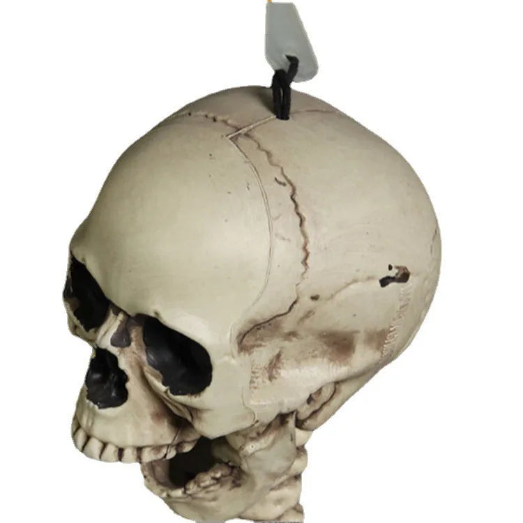 Full-size 170cm plastic skeleton prop with detailed skull and bone simulation on a white background.