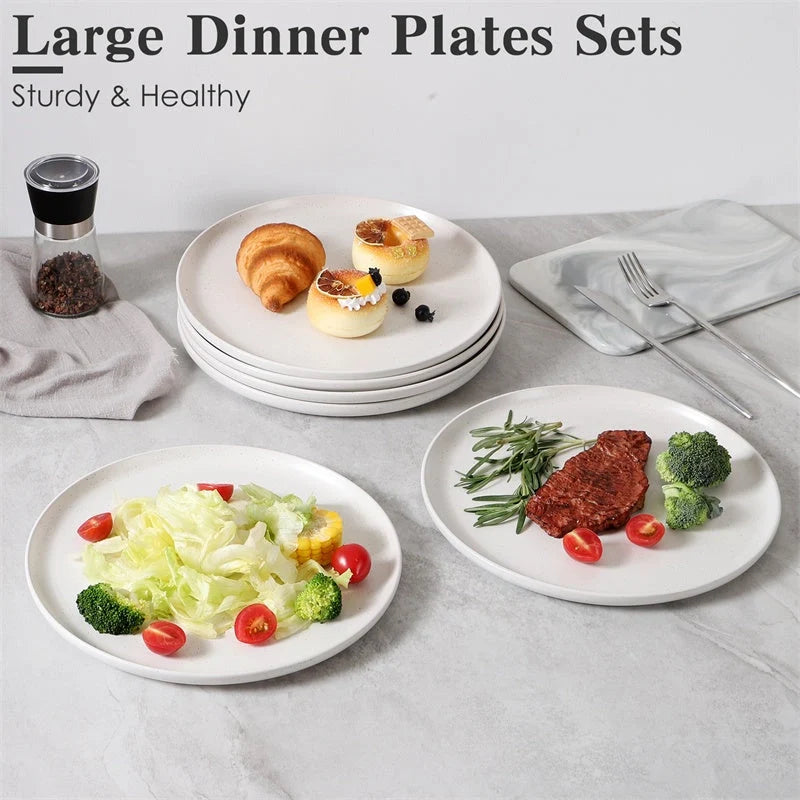Set of 6 ceramic plates for steak, salad, and more, microwave and dishwasher safe