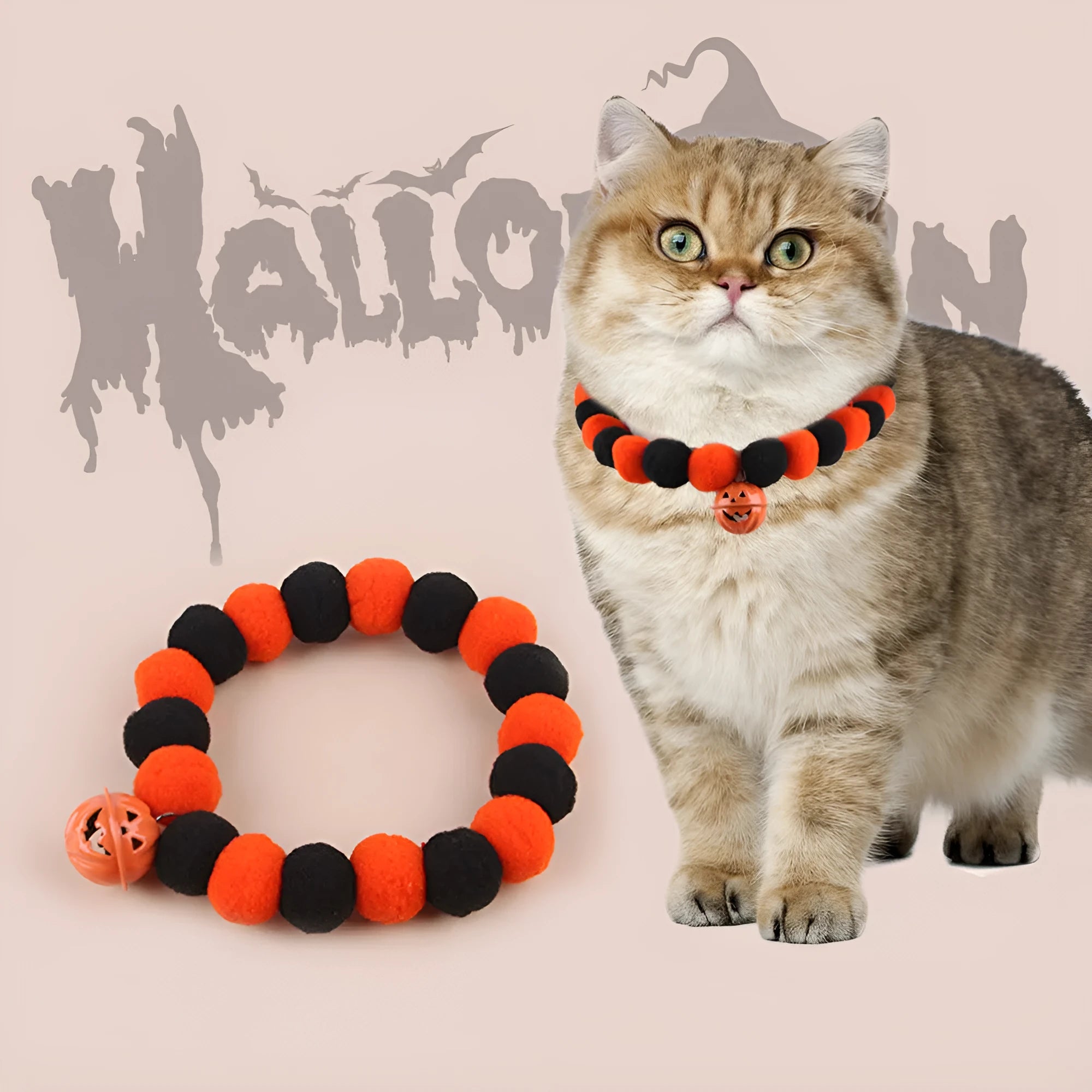 Orange Halloween pet collar with black trick-or-treat pumpkin design on a cat.