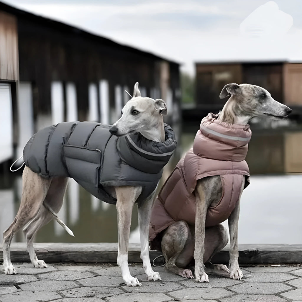 Dog clothes thickened thermal vest cotton coat in grey with adjustable belly band made of recycled polyester for small to large dogs