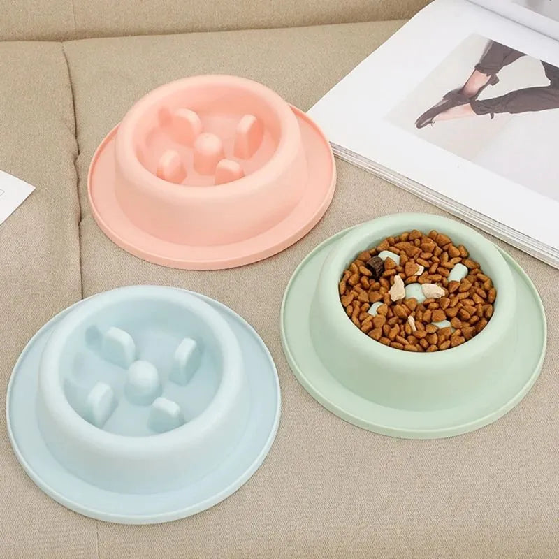 Blue PP plastic slow feeder dog bowl with maze pattern and non-slip base