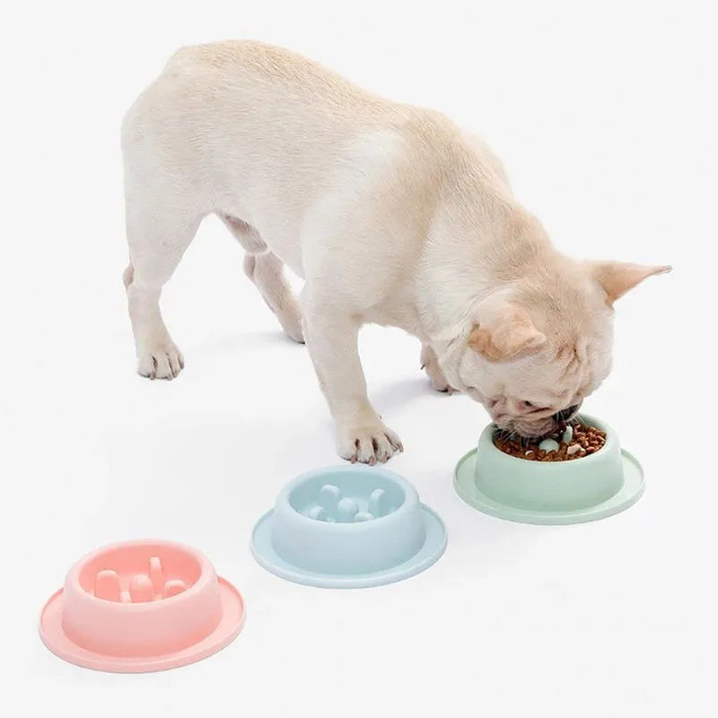 Blue PP plastic slow feeder dog bowl with maze pattern and non-slip base