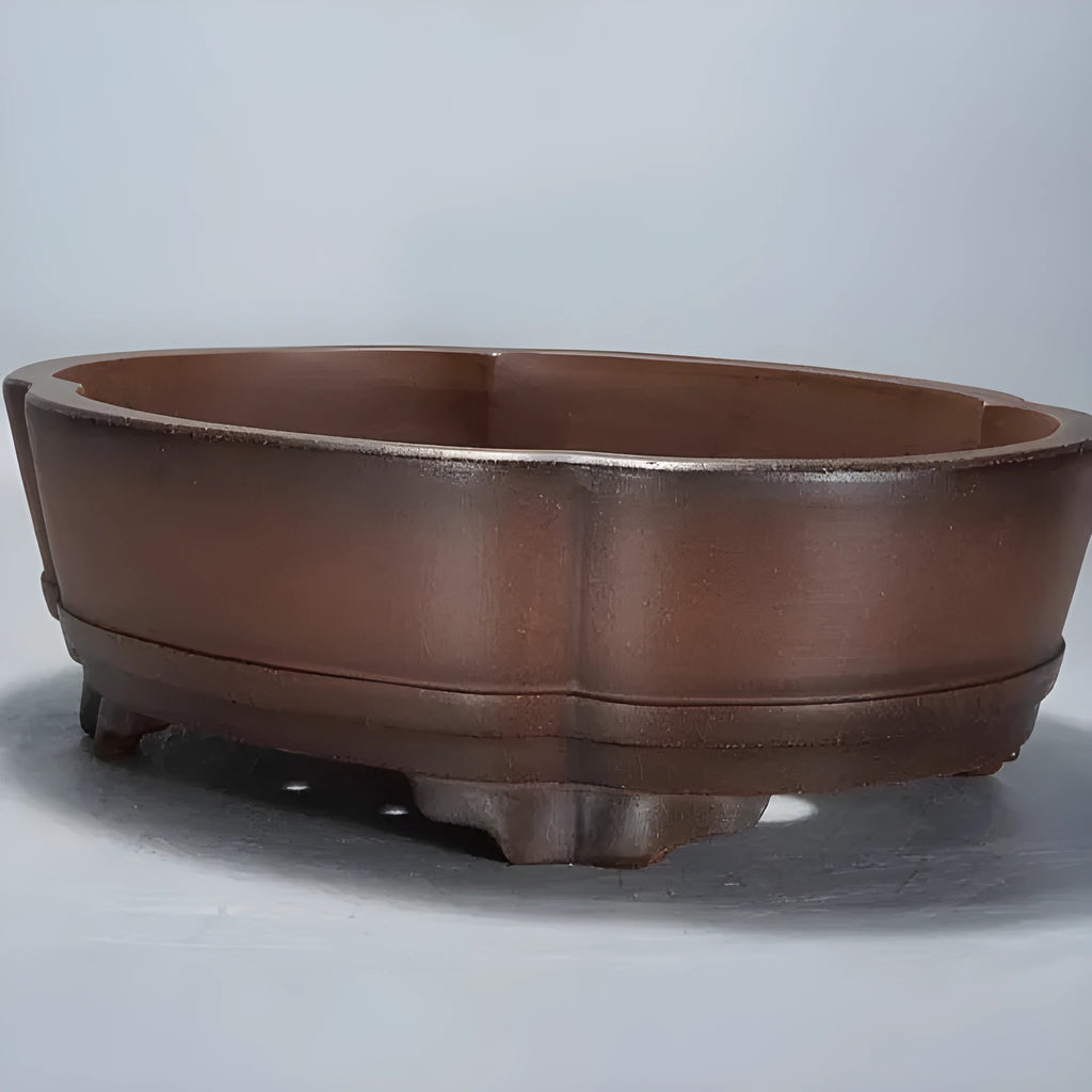Classical purple clay bonsai pot with green plant old pile design, 50x39x16cm dimensions