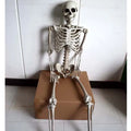 Full-size 170cm plastic skeleton prop with detailed skull and bone simulation on a white background.