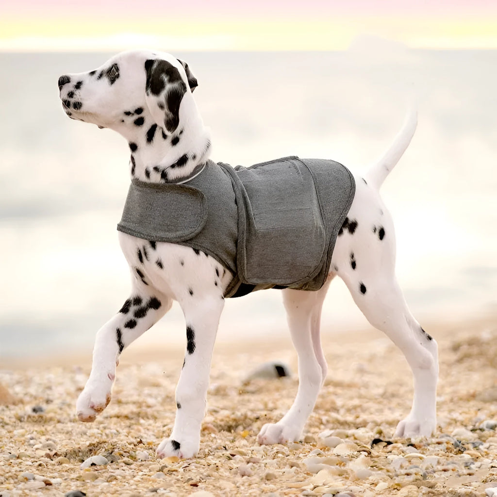 Heather Grey brocade cotton dog anxiety vest shown on a model dog, featuring a simple one-piece design.