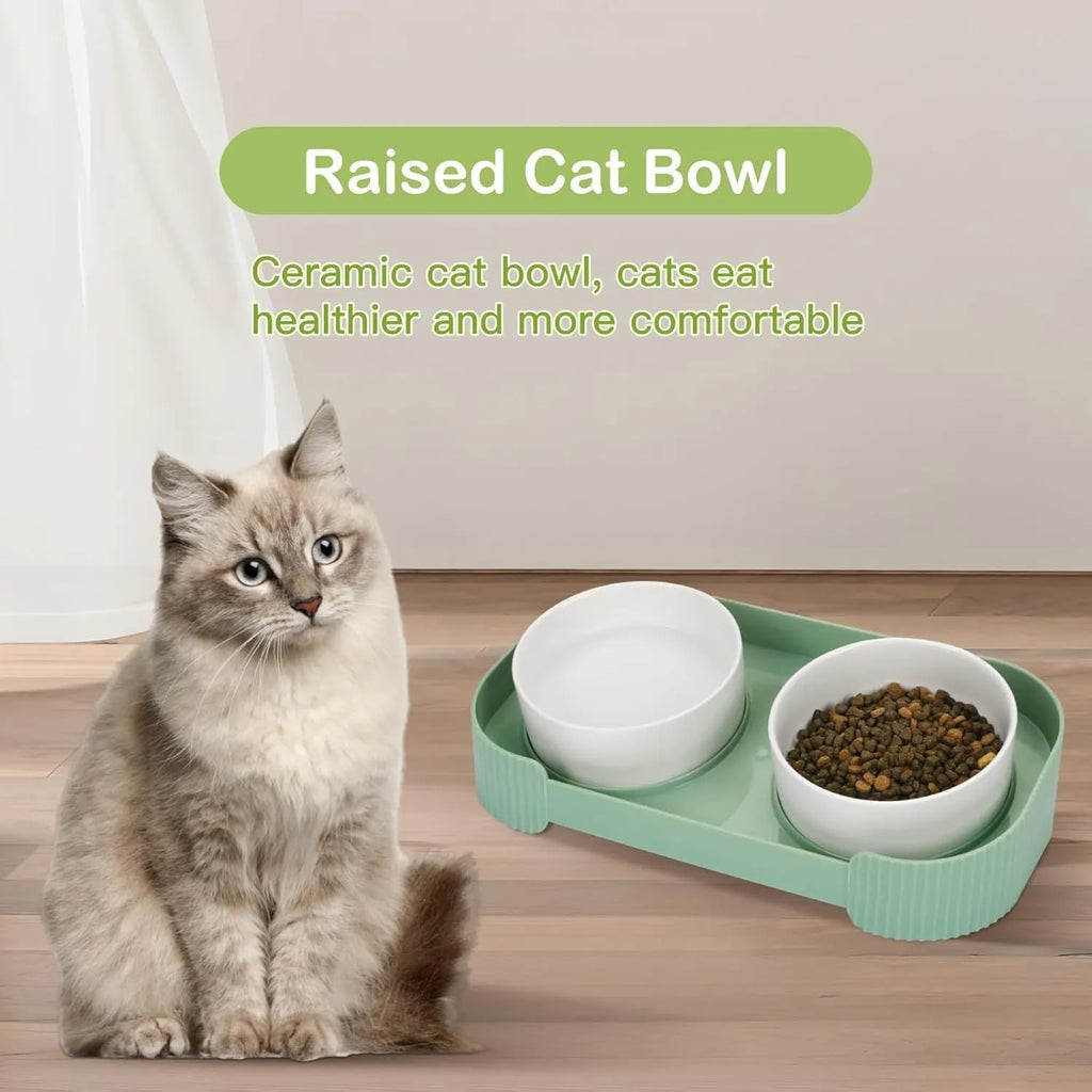 Ceramic elevated cat bowls set with 15 degree tilt in green, white and yellow colour options