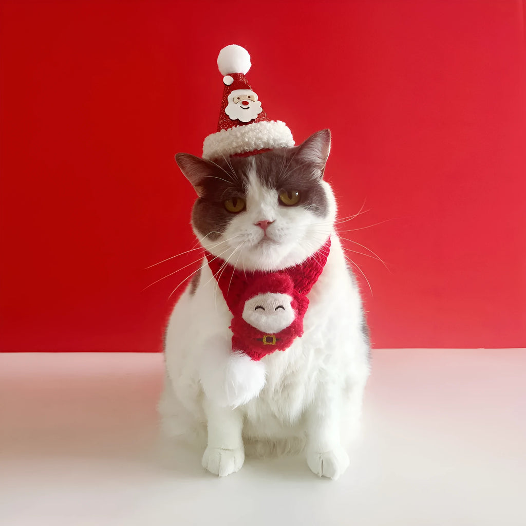 Christmas cat scarf with striped cartoon pattern in festive colours on a light background