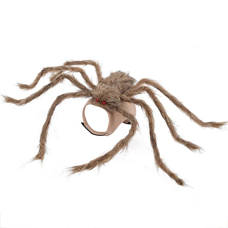 Grey and black spider Halloween costume for a small dog on a carpet.