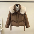 Women's short cotton-padded jacket with stand-up collar in loose style showing claret colour option